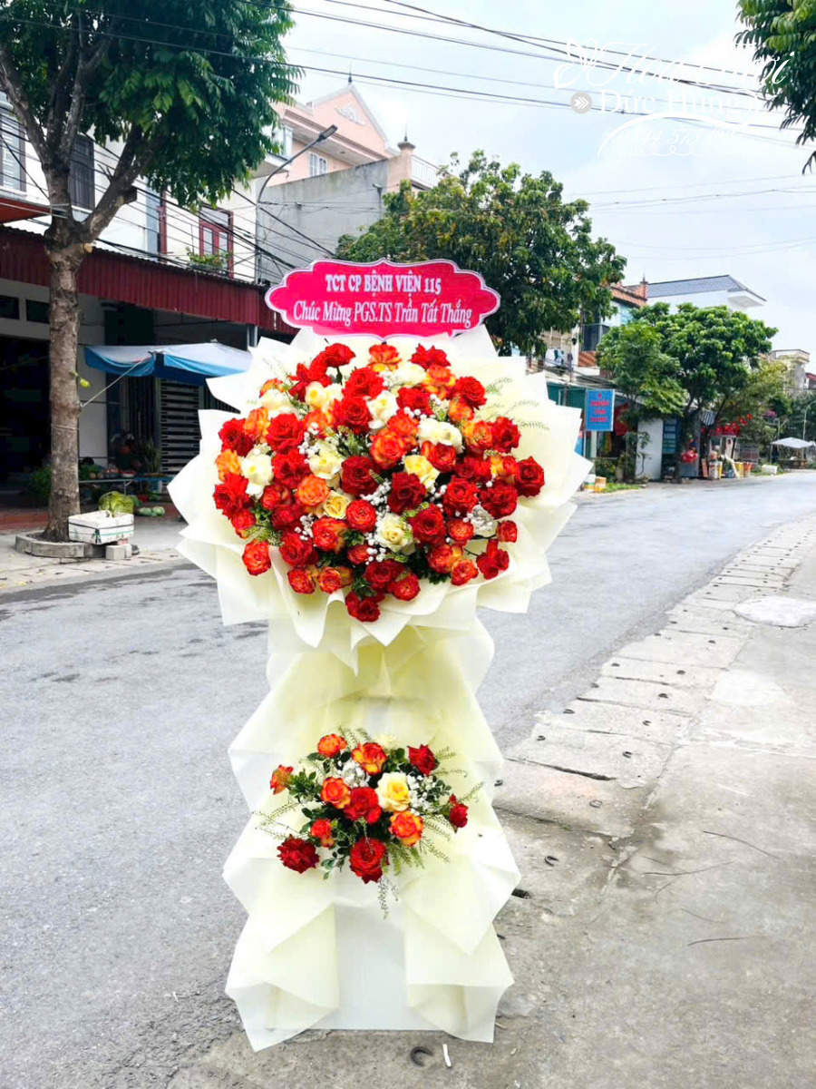 Lẵng Hoa Màu Đỏ HCM051